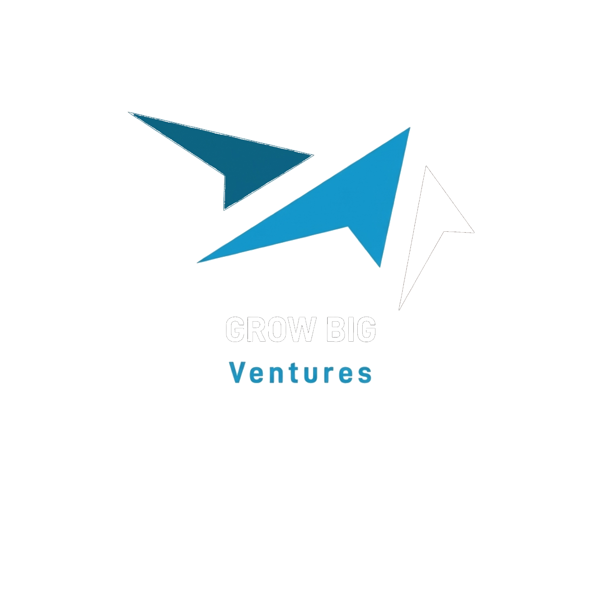 Grow Big Ventures